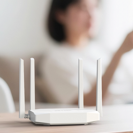CPE450AX AX300 Wi-Fi 6 4G LTE Router-1_900_900.png
