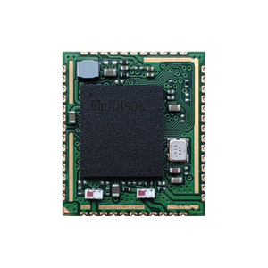 M5621DS2A 2T2R 802.11a/b/g/n/ac WiFi+B5.1 Module