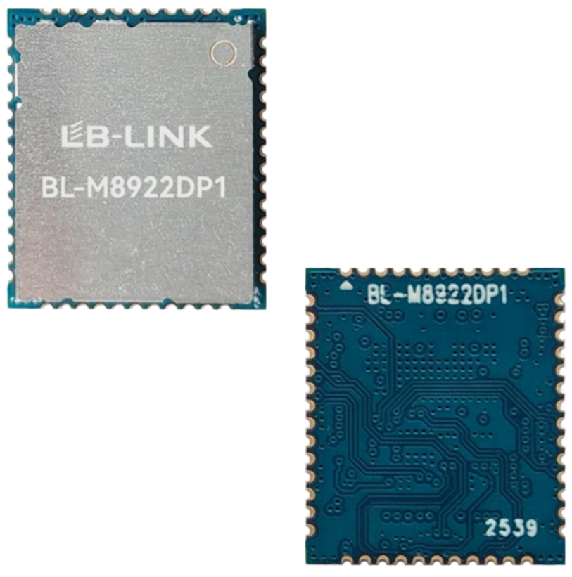 BL-M8922DP1